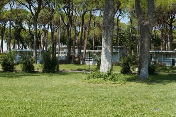 Camping Village Belvedere Pineta